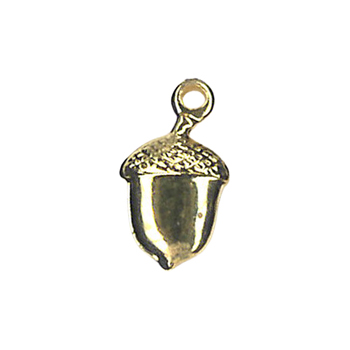 Charm Gold Acorn MAIN
