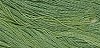 Classic Colorworks - Little Sprout THUMBNAIL