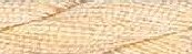 Caron Collection Watercolours 172 Almond MAIN