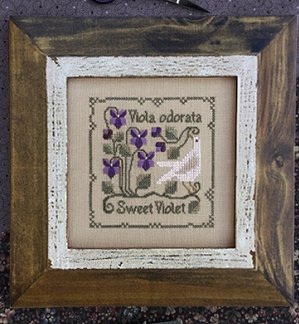 The Drawn Thread - Botanical Stitches - Sweet Violet MAIN