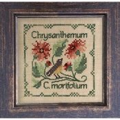 The Drawn Thread - Botanical Stitches - Chrysanthemum THUMBNAIL