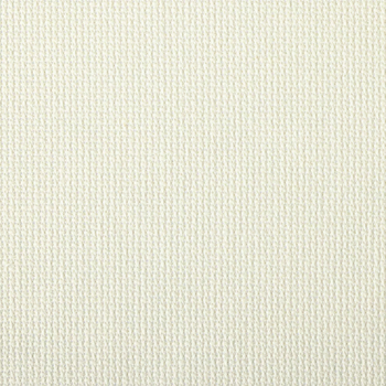Aida 14ct Antique White Charles Craft Classic 20"x24" MAIN