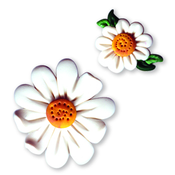 Magnets - July Daisies MAIN