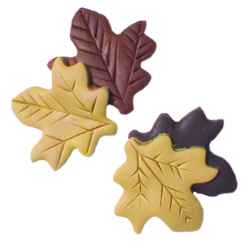 Magnets - November Fall Leaves MAIN