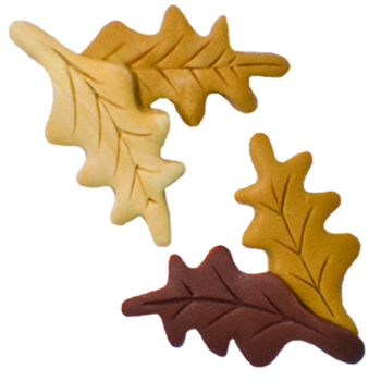 Magnets - February Oak Leaves MAIN
