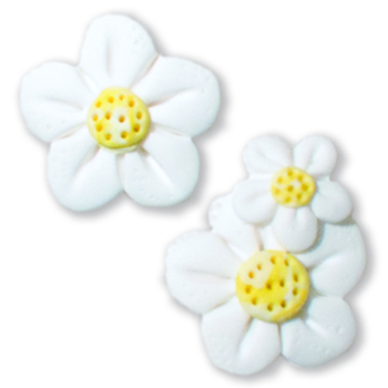 Magnets - May White Flowers MAIN
