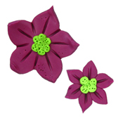 Magnets - December Poinsettia THUMBNAIL
