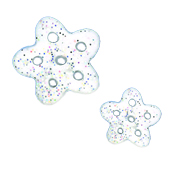 Button Pack - Holly Berry Cardinal Ornament (ORN062) THUMBNAIL
