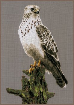 Lanarte - Falcon MAIN