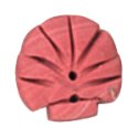 Button - Coral Sea Shell, Medium MAIN