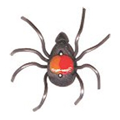 Button - Spider, Large THUMBNAIL
