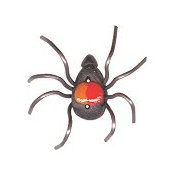 Button - Spider, Medium THUMBNAIL