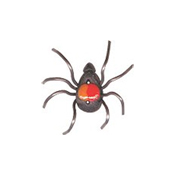 Button - Spider, small THUMBNAIL