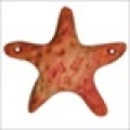 Button - Starfish MAIN