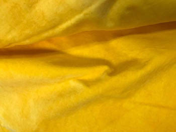 Lady Dot Creates - Velveteen - Daffodil MAIN