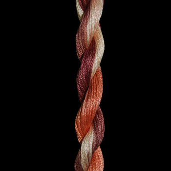 Threadworx Overdyed Floss 1071 Rustic MAIN