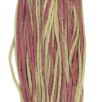Weeks Dye Works Overdyed Floss 1126 Coleus MAIN