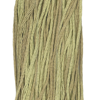 Weeks Dye Works Overdyed Floss 1194 Broom Tree MAIN