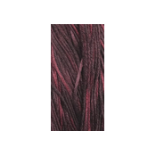 Weeks Dye Works Overdyed Floss 1319 Acai Berry THUMBNAIL