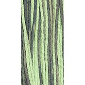 Weeks Dye Works Overdyed Floss 2161 Julep THUMBNAIL