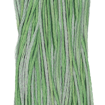 Weeks Dye Works Overdyed Floss 2181 Cactus MAIN