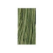 Weeks Dye Works Overdyed Floss 2195 Grassland MAIN