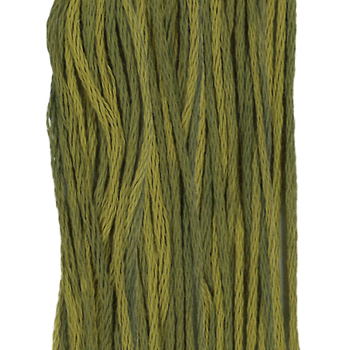 Weeks Dye Works Overdyed Floss 2201 Moss MAIN