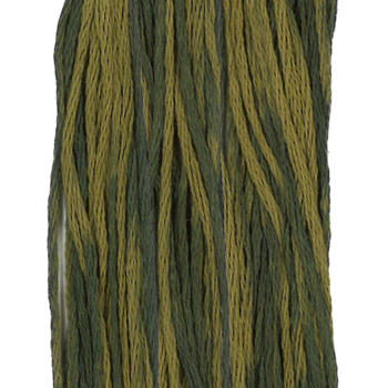 Weeks Dye Works Overdyed Floss 2202 Bullfrog MAIN