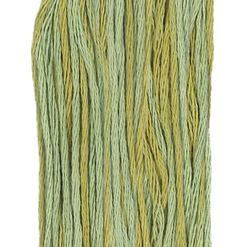 Weeks Dye Works Overdyed Floss 2206 Pistachio MAIN