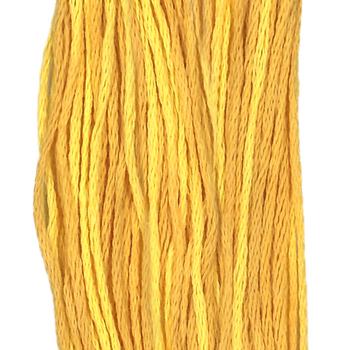 Weeks Dye Works Overdyed Floss 2224 Squash MAIN
