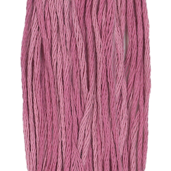 Weeks Dye Works Overdyed Floss 2272 Busy Lizzie MAIN