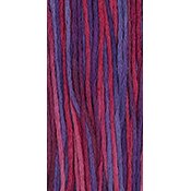 Weeks Dye Works Overdyed Floss 2335 Jealousy MAIN