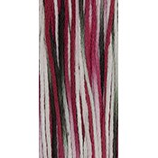 Weeks Dye Works Overdyed Floss 4137 Santa Claus MAIN