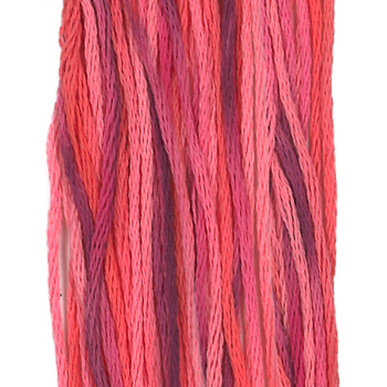 Weeks Dye Works Overdyed Floss 4153 Berry Splash MAIN