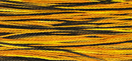 Weeks Dye Works #5 Pearl Cotton - 4101 Trick or Treat MAIN