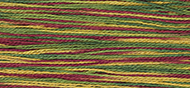 Weeks Dye Works #5 Pearl Cotton - 4105 Noel MAIN