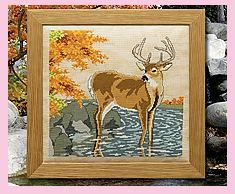 Autumn Whitetail