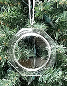 Beveled Acrylic Ornament Frame THUMBNAIL