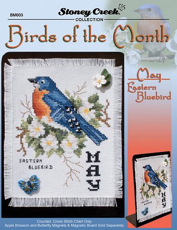 Bird of the Month - May (Eastern Bluebird) MAIN