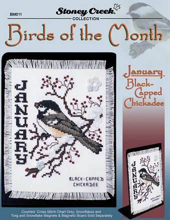 Bird of the Month - January (Black-Capped Chickadee) MAIN