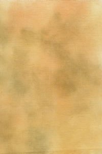 Crossed Wing Collection - 28ct Butternut Linen MAIN