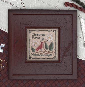 The Drawn Thread - Botanical Stitches - Christmas Rose MAIN
