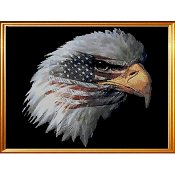 Cody Country Cross Stitch - American Pride MAIN