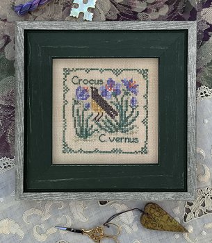 The Drawn Thread - Botanical Stitches - Crocus MAIN