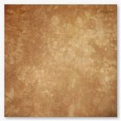 Picture This Plus Hand-Dyed Crystal Gingerbread 32ct Lugana THUMBNAIL