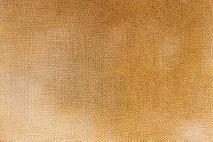 Crossed Wing Collection - 14ct Earth Aida 18" x 21" MAIN