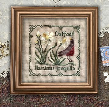 The Drawn Thread - Botanical Stitches - Daffodil MAIN