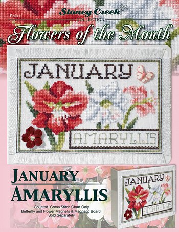 Flowers of the Month - January Amaryllis MAIN