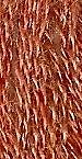 Gentle Art Simply Wool Thread 0590-W Terra Cotta MAIN