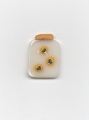 Jabco Button - 4582 Jar of Bugs THUMBNAIL